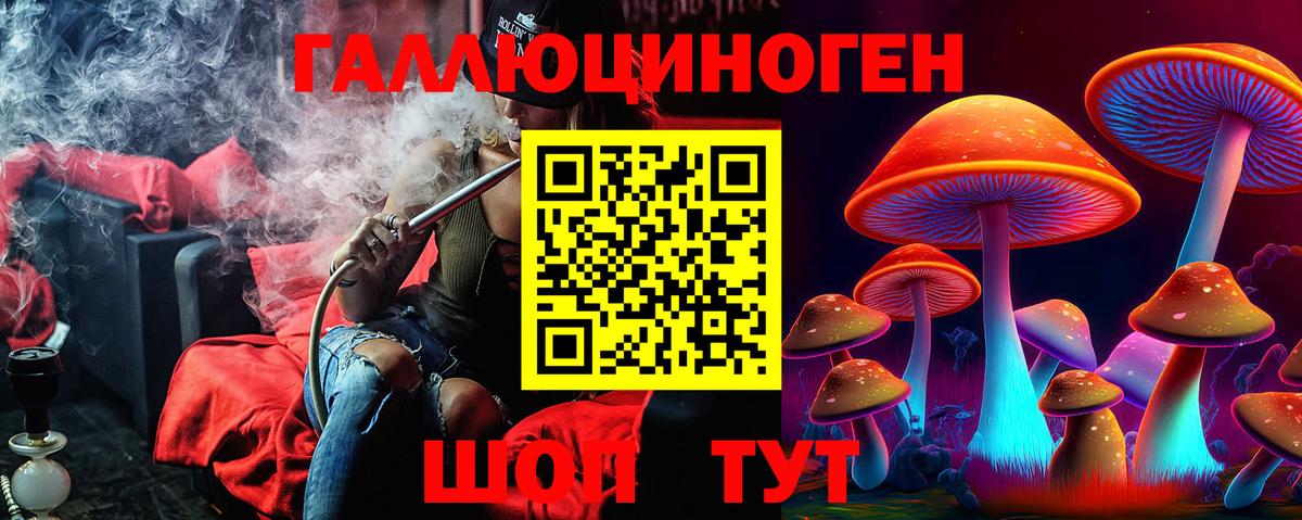 Галлюциногенные грибы Psilocybe  Псилоцибиновые грибы мицелий  Амурск  Вход с VPN 